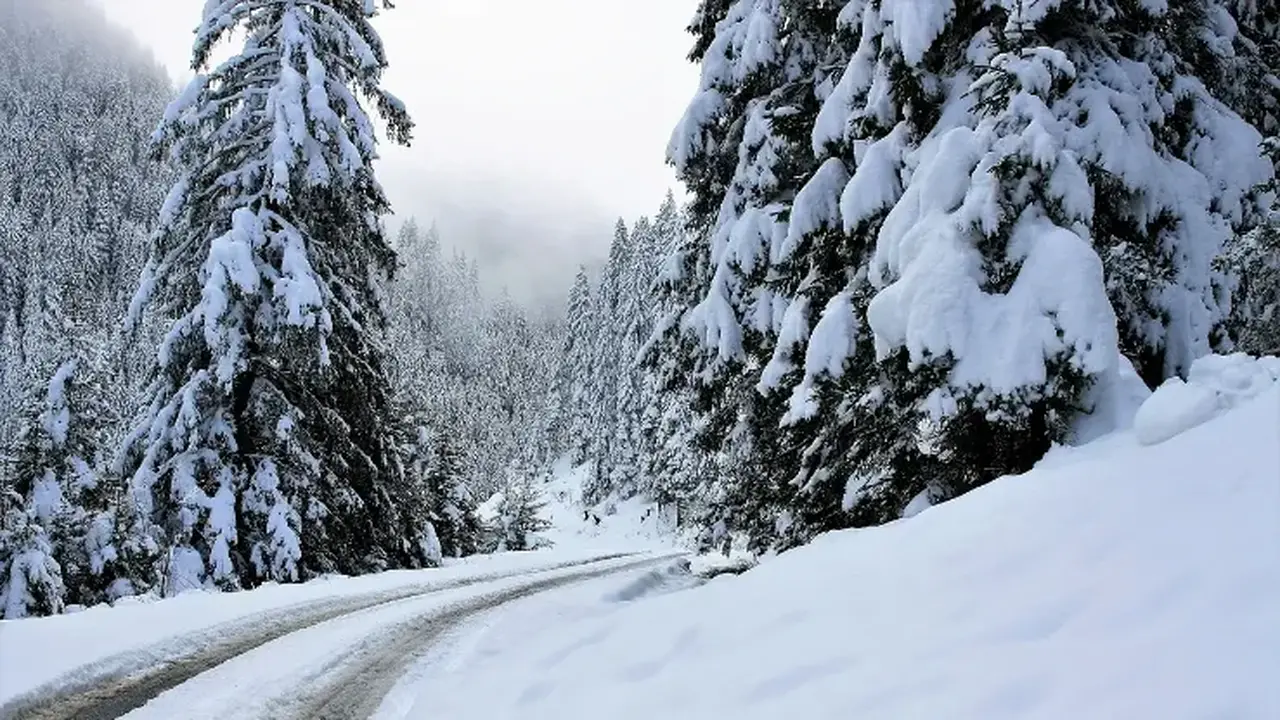 تحذير رسمي.. ثلوج كثيفة تغطي مرتفعات عدة ولايات جزائرية خلال الساعات القادمة